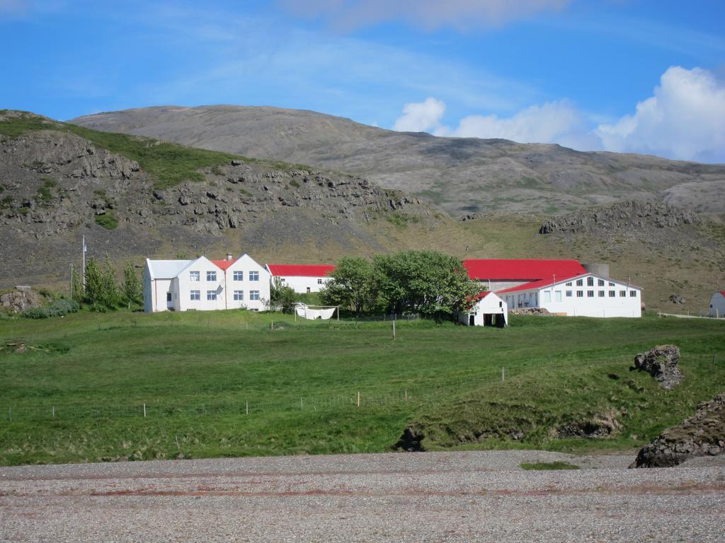 Brekka I Loni Farm Stay Stafafell Eksteriør bilde
